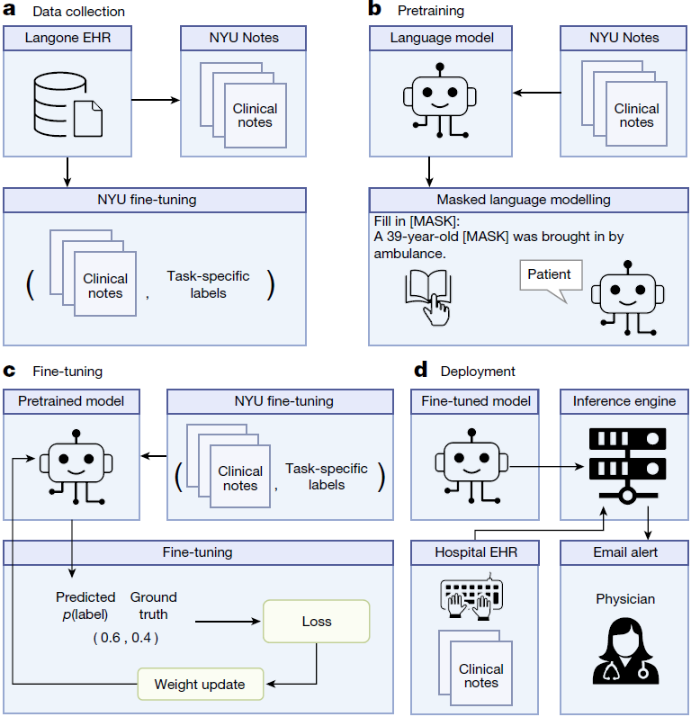 Flow chart showing the steps of the LLM approach for clinical prdeiction. The top left is part a with a Lagone EHR box connected to 2 boxes, NYU Notes(clinical notes) and NYU Fine-Tuning (clinical notes and task specific labels). The top right is the pret-training section with NYU notes (clinical notes) in the far top right connected to a language model box which then connects to a larger masked language model box below it (fill in [mask]: a 39-year-old [mask] was brough in by patient (image representing llm replying) patient)). The bottom left has nyu fine tuning (clinical notes and task specific tasks) in the top right of its quadrant connected to a pretrained model box which connects down to a larger fine-tuning box, specifically the predicted p(label) ground truth pair (0.6, 0.4) which connects to a small box inside the big on lageled loss which goes to another small box labeled weight update which goes back to the pretrained model box. The last quadrant in the bottom right has two boxes on the left of fine-tuned model and hospital ehr(clinical notes) connected to inference engine in the top right of the quadrant that connects down to the email alert (physician) box