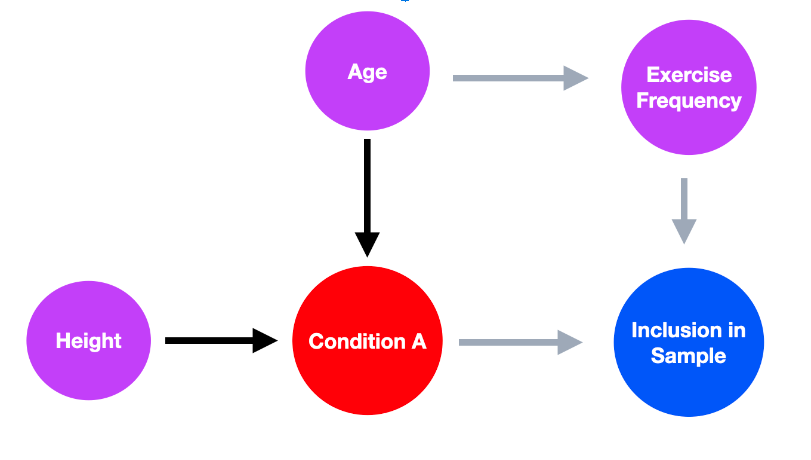 purple circle labeled height with an arrow to a red circle labeled condition a and an arrow from a purple circle labeled age which has an arrow to another circle labeled exercise frequency which has an arrow to a blue circle labeled inclusion in sample that also has an arrow to it from condition a