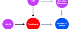 purple circle labeled height with an arrow to a red circle labeled condition a and an arrow from a purple circle labeled age which has an arrow to another circle labeled exercise frequency which has an arrow to a blue circle labeled inclusion in sample that also has an arrow to it from condition a